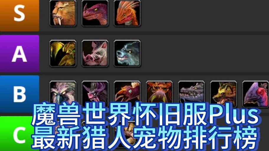 魔兽世界LR宝宝大全：各种宠物属性及获取方法