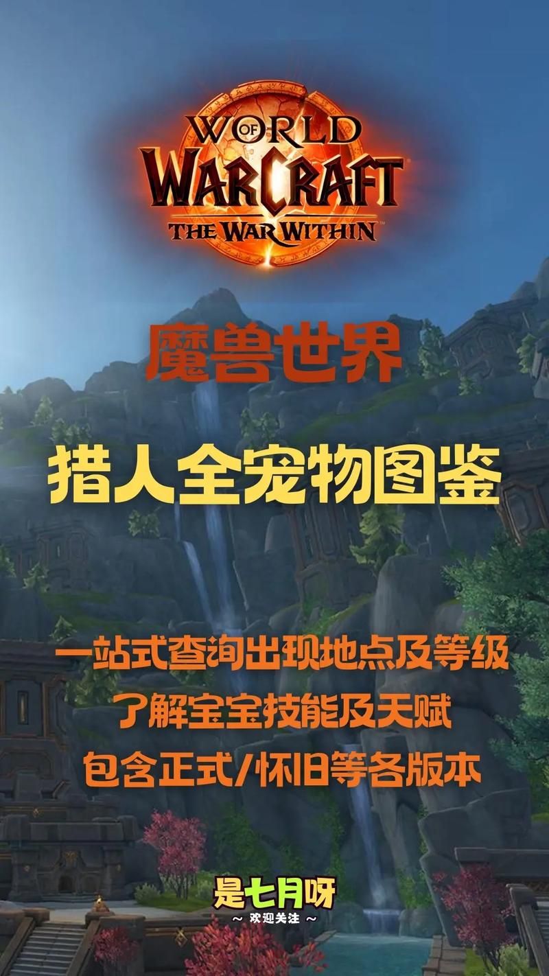 魔兽世界LR宝宝大全：各种宠物属性及获取方法