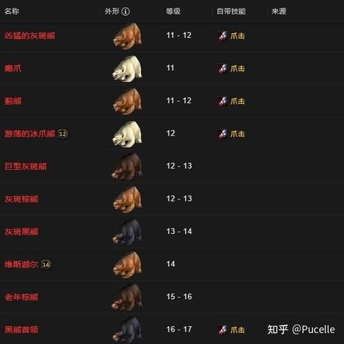 魔兽世界LR宝宝大全：各种宠物属性及获取方法