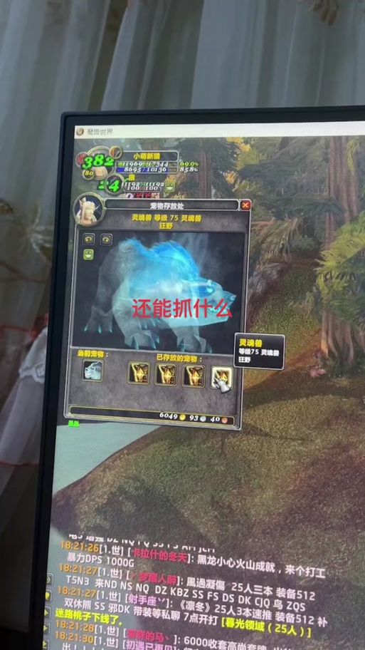 魔兽世界WLK灵魂兽：全攻略及捕捉技巧分享