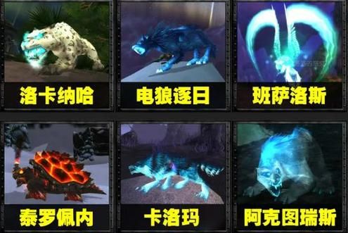魔兽世界WLK灵魂兽：全攻略及捕捉技巧分享