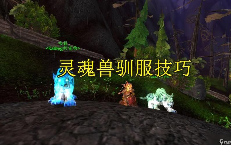 魔兽世界WLK灵魂兽：全攻略及捕捉技巧分享