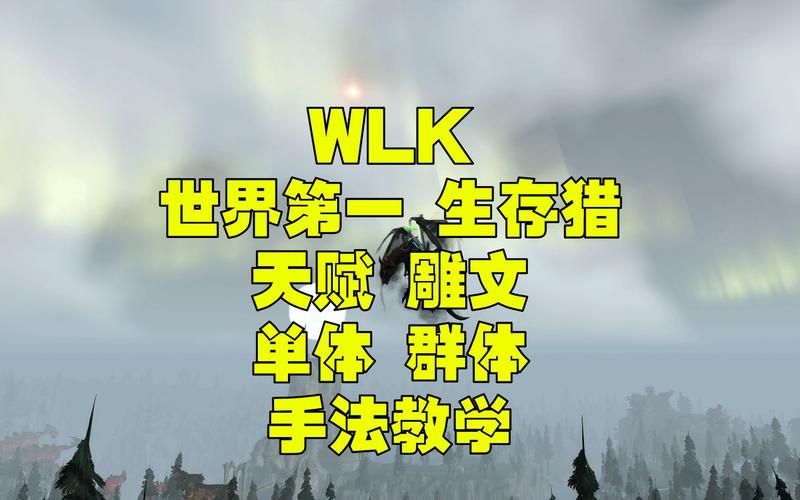 魔兽世界WLK生存猎：教你选对宝宝提升DPS