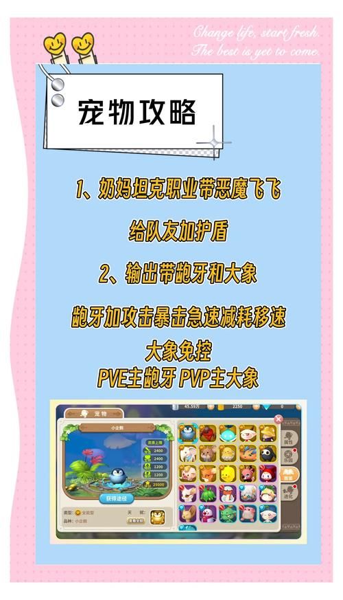 魔兽世界宠物养成：萌宠收集与战斗玩法详解