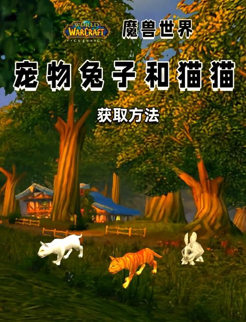 魔兽世界宠物养成：萌宠收集与战斗玩法详解