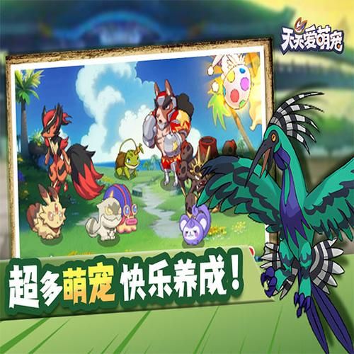魔兽世界宠物养成：萌宠收集与战斗玩法详解