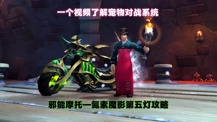 魔兽世界小宠物速升25：高效升级方法详解