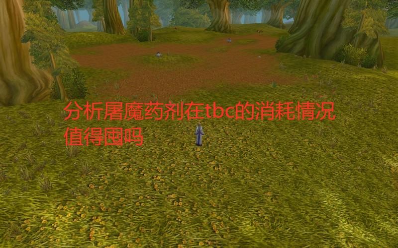 魔兽世界屠魔药剂：提升战斗力的秘密武器