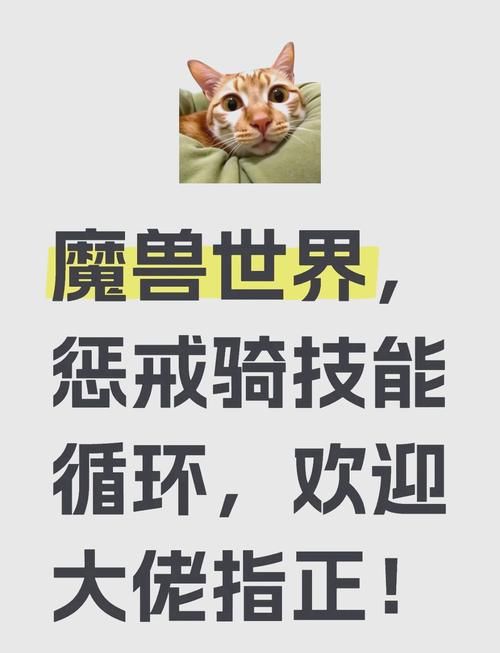 魔兽世界惩戒骑属性指南：快速提升你的DPS