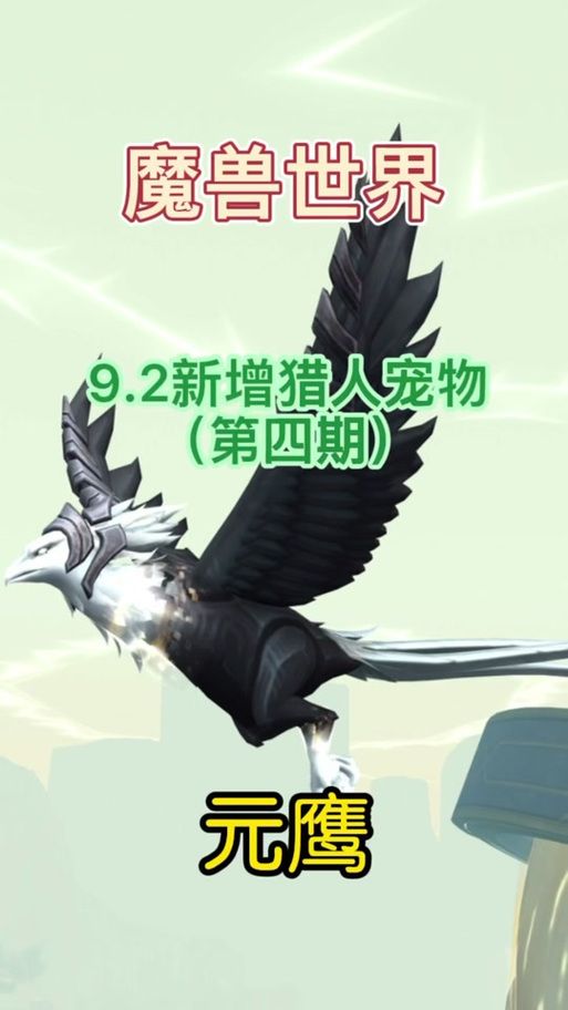 魔兽世界扎雷殁提斯元肉：高效刷元肉的实用技巧
