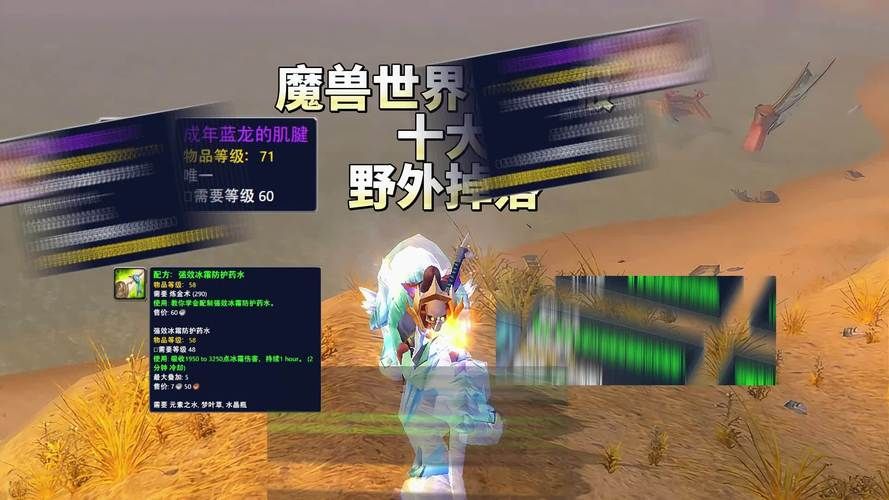 魔兽世界掉落宝典：教你轻松获取心仪的装备和坐骑
