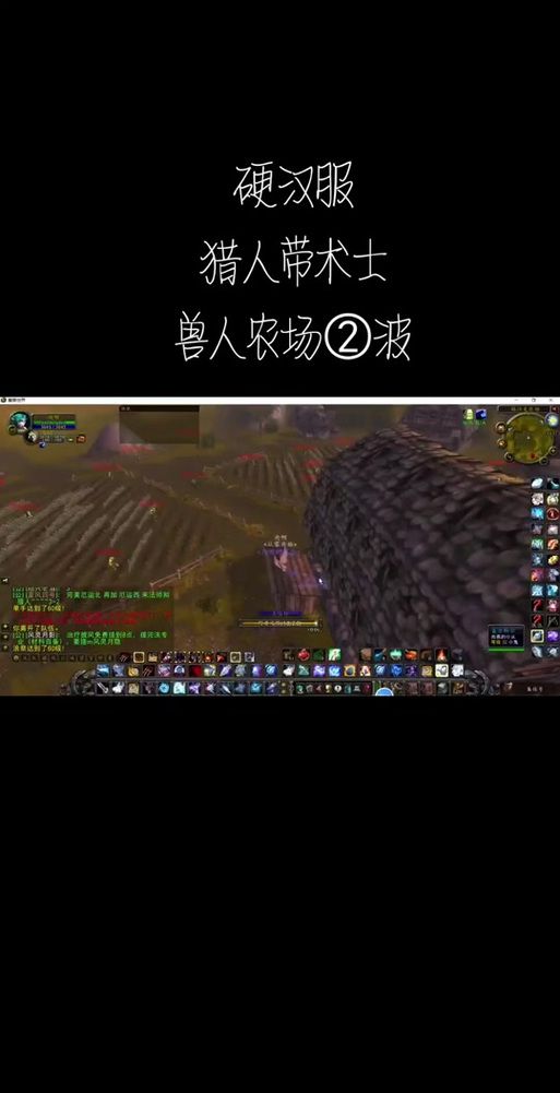 魔兽世界猎人传家宝详解：锁甲皮甲哪个更适合你？