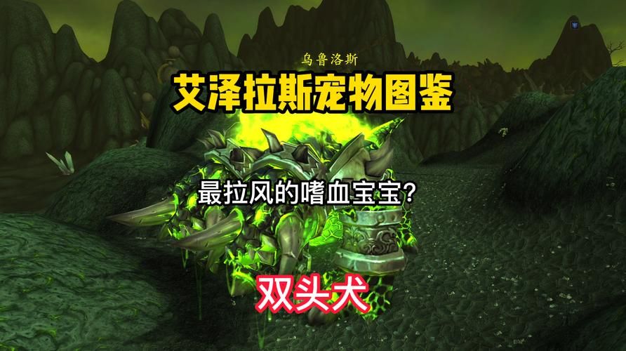 魔兽世界猎人名字推荐：带你玩转艾泽拉斯的猎人角色