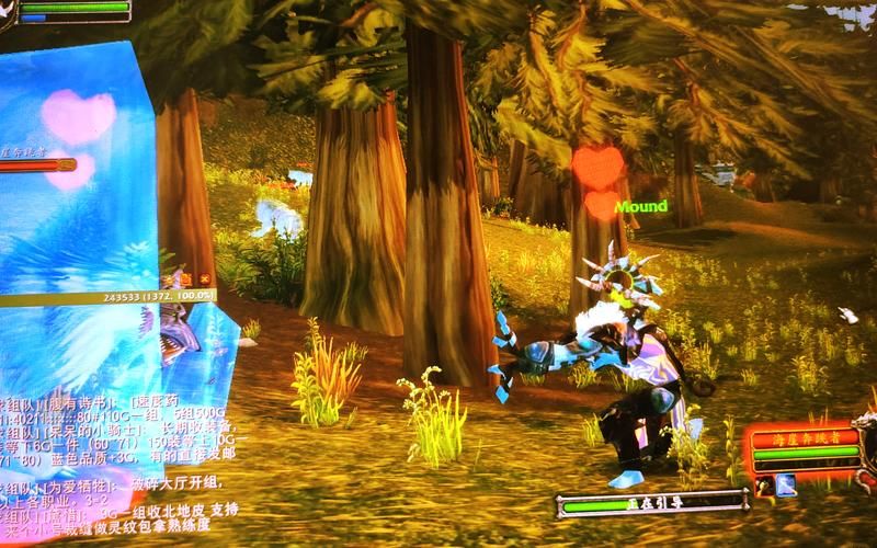 魔兽世界猎人：必抓的五只神级宠物，助你称霸艾泽拉斯