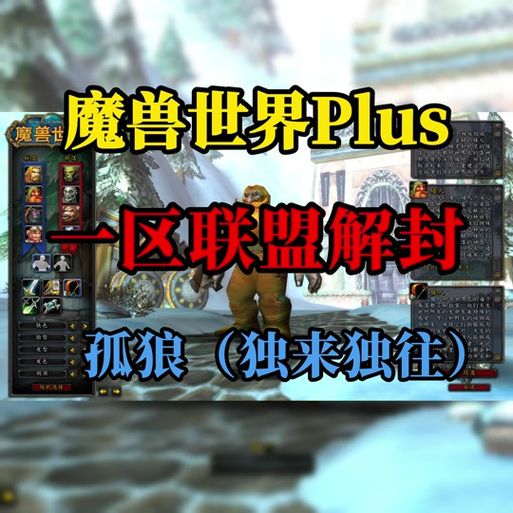 魔兽世界账号分离服务详解：价格、条件及操作步骤全攻略