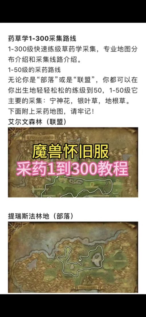 魔兽世界铁皮药剂：效果、获取途径及使用技巧指南