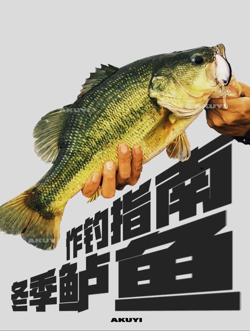 魔兽世界黑鳞镖鲈在哪钓？新手钓鱼必看指南