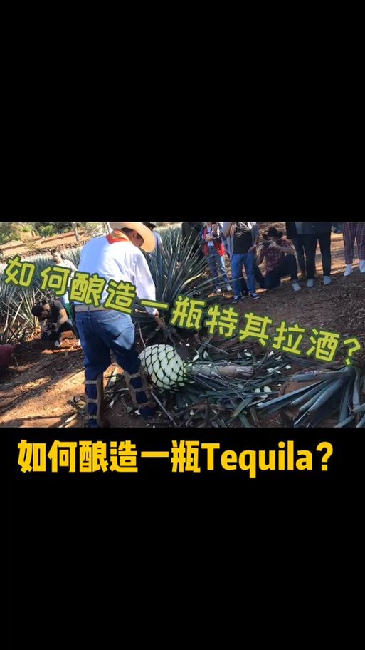 魔兽世界：拉姆瑟船长的特酿啤酒配方详解