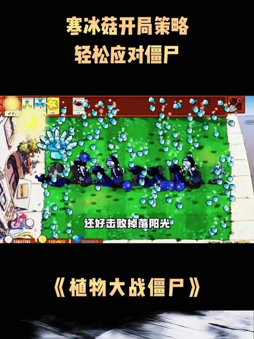 魔兽僵尸岛生存指南：轻松应对各种僵尸