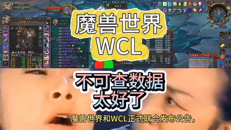 魔兽怀旧服WCL查询榜：简单方便的排名查询方法