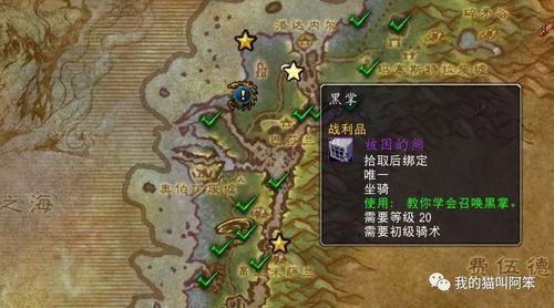 魔兽爱不易：新手玩家必备生存指南