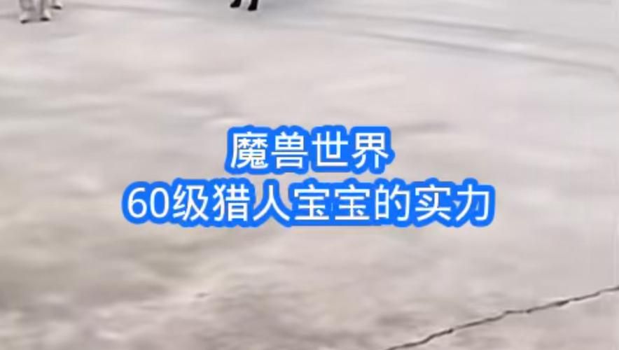 魔兽猎人宝宝图鉴大全：萌宠收集指南，带你玩转猎人宠物系统！
