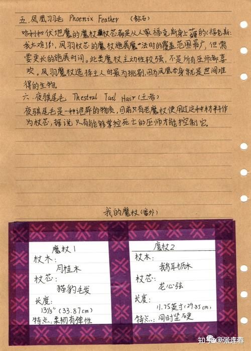魔杖杖芯大全及寓意详解：选择你的专属魔杖杖芯