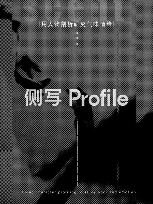 【PC+安卓】侧写者／探查器／侦探故事 Profiler v0.35【SLG／国风／动态】官方中文