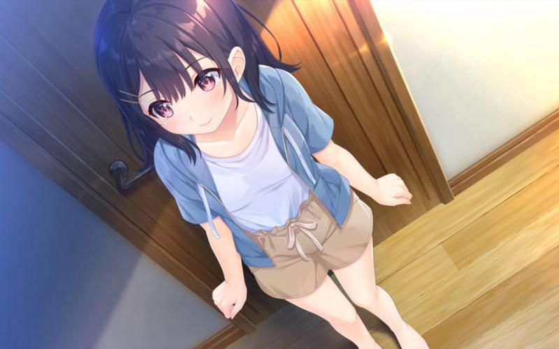 【PC】无法忍耐的处男哥哥和不直率的叛逆妹妹【日式ADV／CV】官方中文