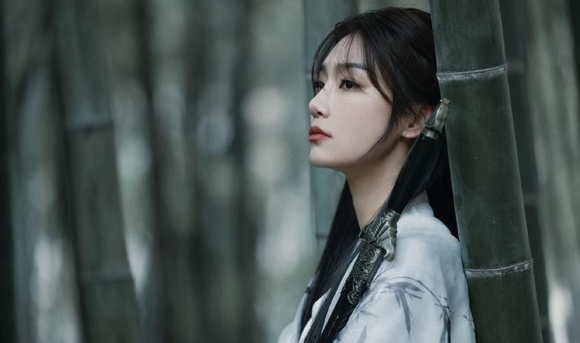 PC[古风女侠横版ACT官中重口]玉莲之剑 Sword of Lotus Ver0.91 官方中文版[250M]