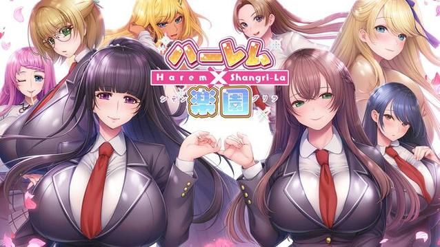 [ADVAI翻译后宫]秘密之恋 シークレットラブ（仮）豪華限定版[9.28g百度盘]