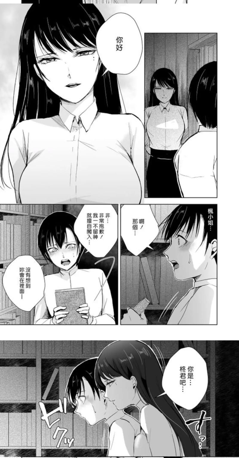 [ADV／扶她／AI汉化／巨乳／多P]SLEEPLESS～不眠之夜／SLEEPLESS Nocturne[+全CG存档][PC／2G]