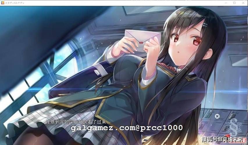[ADV／汉化／无码]SISTERS：夏日最后一天～Ultra Edition／SISTERS～夏の最後の日～ Ultra Edition全CG存档 PC[7G／UC]
