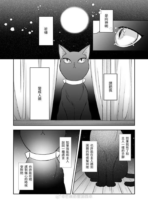 [ADV／黑猫汉化／乳交／多P／魔物娘]犯され勇者IV～ANOTHER STORY～[PC／600M]