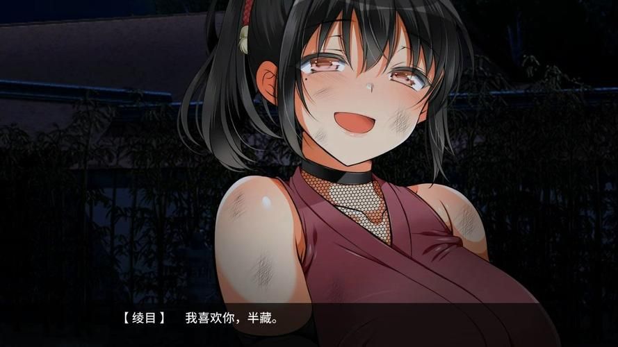 [ARPG／羞耻／堕落／巨乳／口交／机翻+AI文本／更新]莉泽与试炼之街／リーゼと試練の街[Ver.2.02][PC／1G]