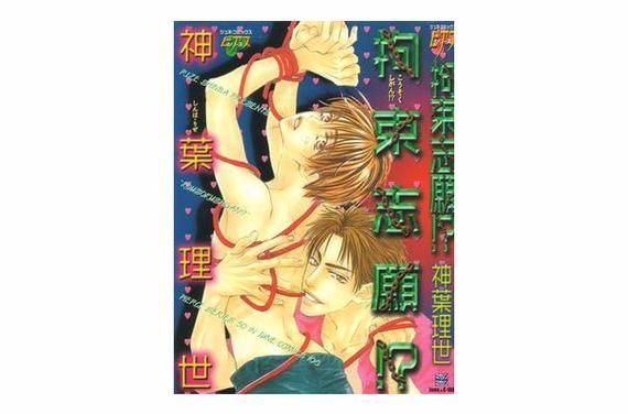 [RPG／中出／拘束／强X／STEAM官中／2D]迷宫∞创造／迷宮∞創造／ダンジョン∞クリエイト[PC+安卓／642M]