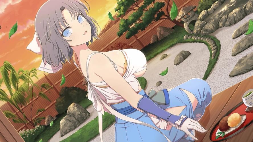 [RPG／汉化]闪神瞬姬伊莲娜～屈辱的土下座求生～挂载AI汉化版+存档[1.5G／OD盘]
