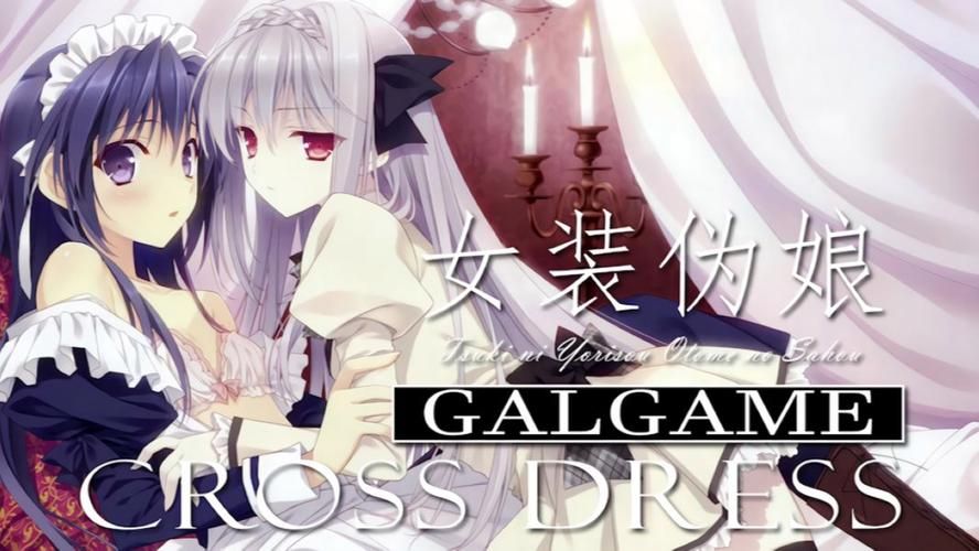 [RPG／汉化／伪娘／触手／口交／深喉／夸克]海滩上的婊子家族[PC／400M]