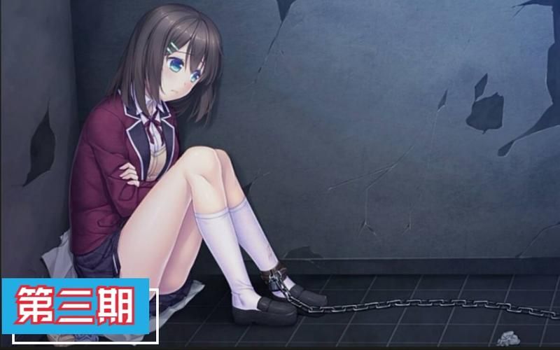 [RPG／汉化／监禁调教] 女伯爵的家具 PC+安卓官方中文汉化 [820M]