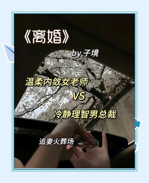 [SLG汉化] 离婚之后：再次单身 Single Again CHP1-1.23 PC+安卓汉化版 [10G微云直连]
