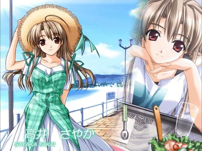 [SLG／中出／自慰／口交／露出／触摸／生肉]男装泳衣触摸模拟挑战／男水着チャレンジおさわりシミュレーション[PC／390M]