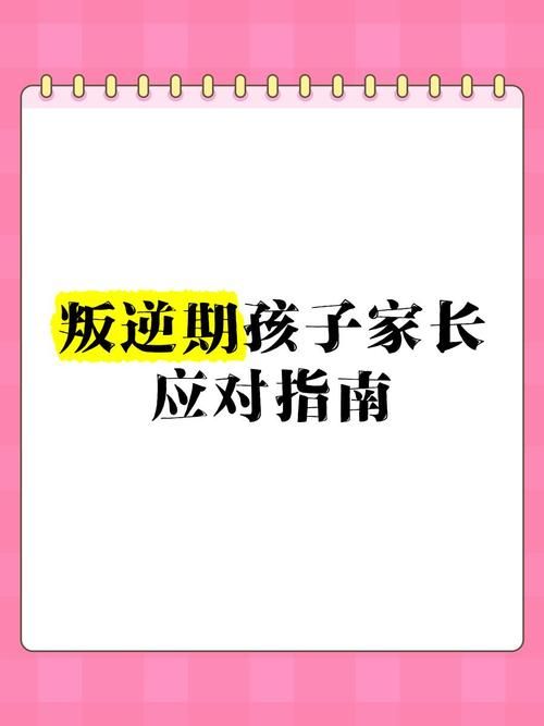 2023年家庭事务最新政策解读与应对指南