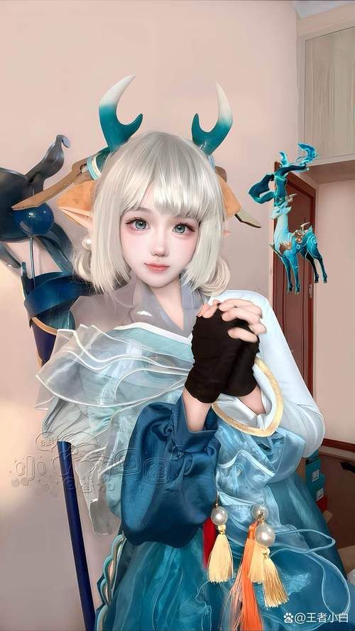 coser1游戏介绍 带你了解这款热门游戏的玩法与特色