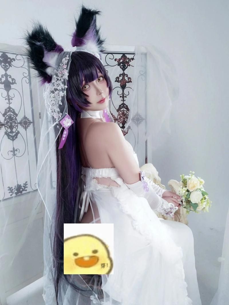 coser2最新资源大全 海量素材免费获取