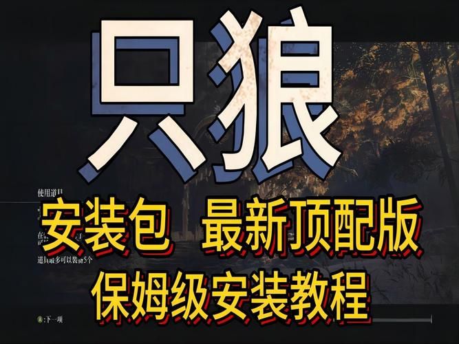 coser2汉化版下载安装包及使用教程大全