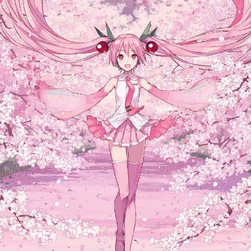 coser2汉化版下载安装包及使用教程大全