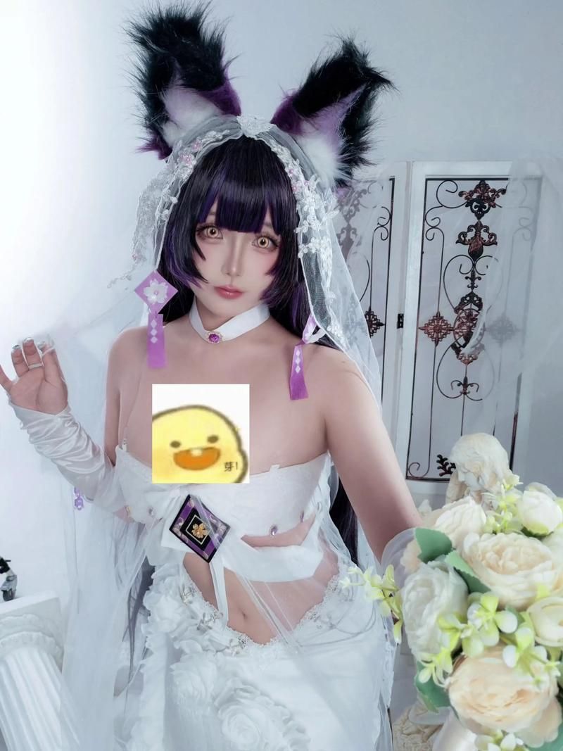coser2版本大全 从入门到精通完整教程
