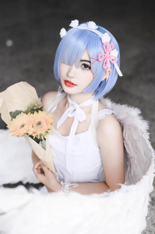 coser3官网打不开怎么办 教你快速解决问题