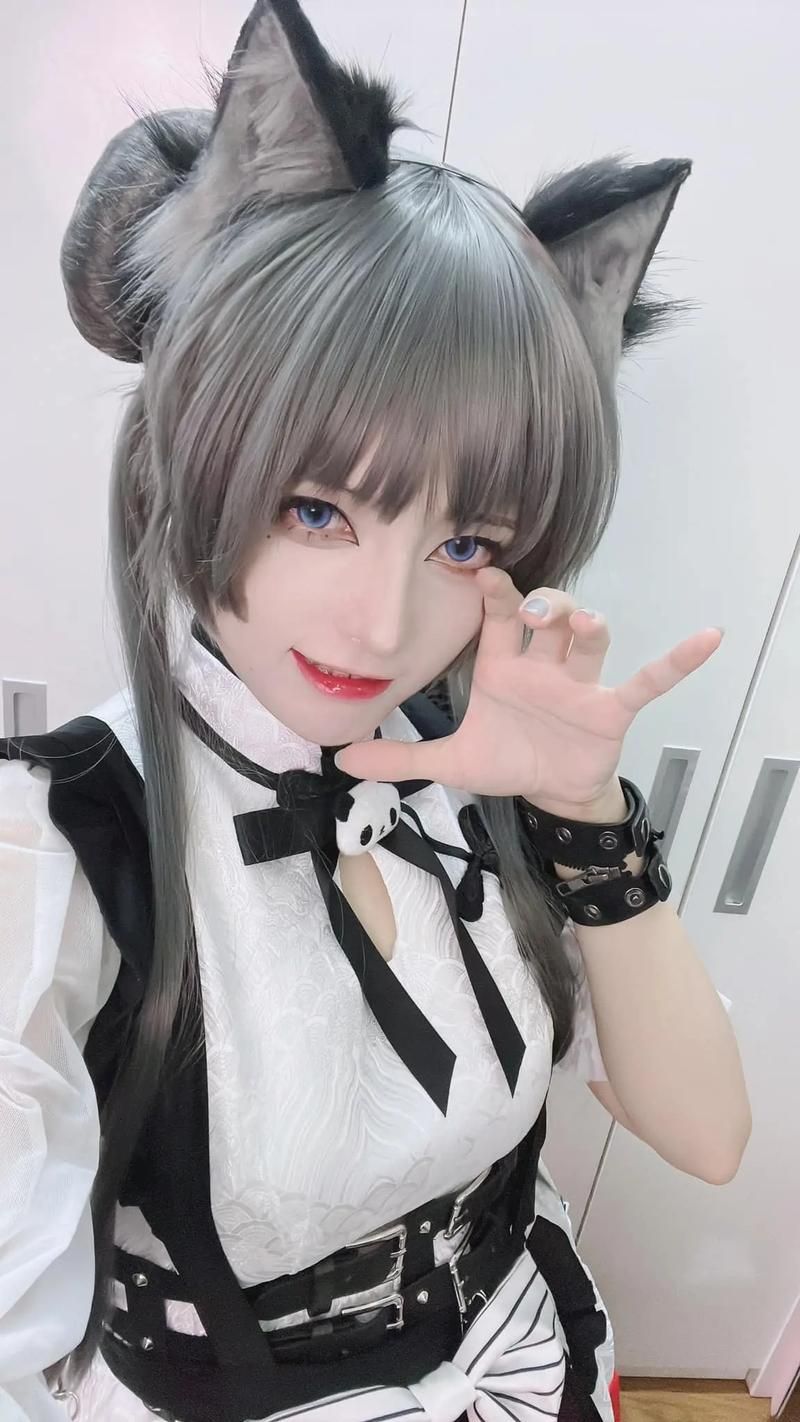 coser4下载地址免费提供 手把手教你安装coser4