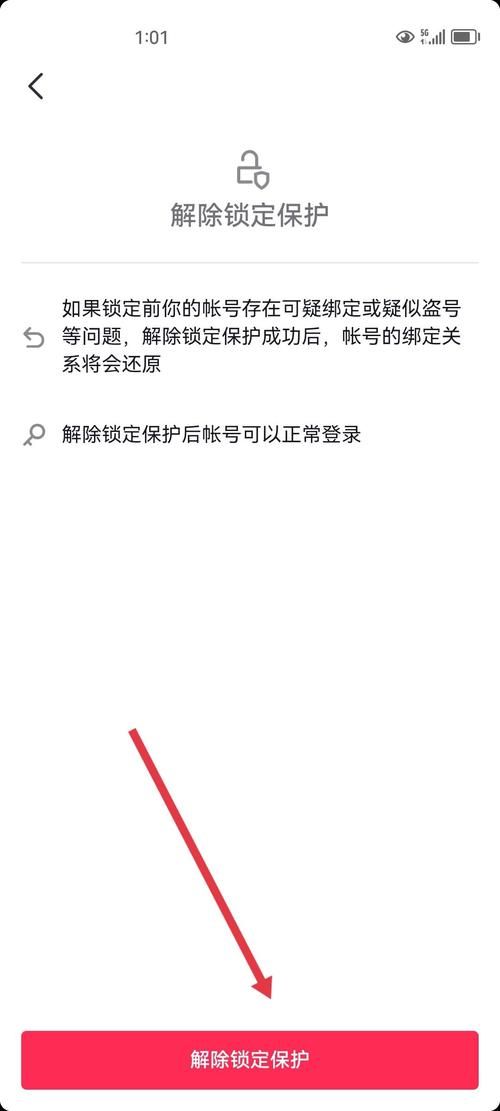 DarkElf官网注册登录教程与账号安全提示